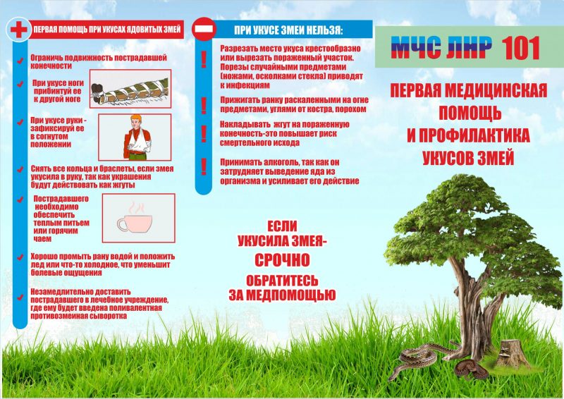 осторожно, змеи