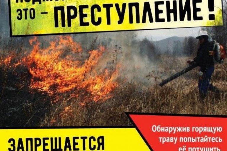 поджег травы-преступление