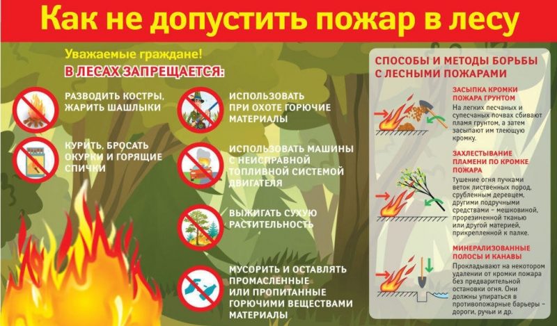 Как не допустить пожар в лесу