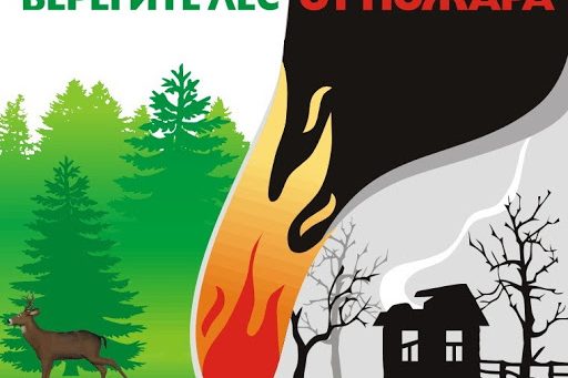 берегите лес