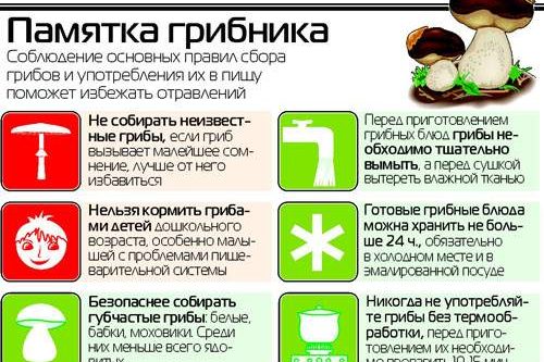 памятка грибника