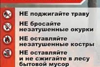 правила в лесу