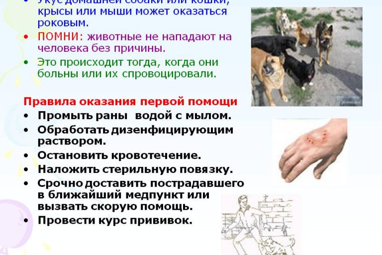 При укусах животных
