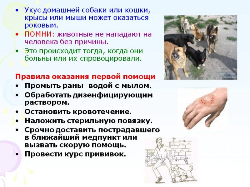 При укусах животных