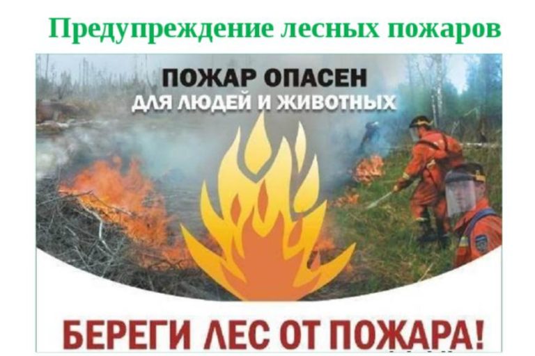 Береги лес от пожара
