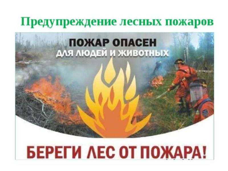 Береги лес от пожара