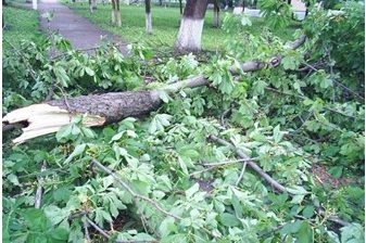 Снимок экрана 2023-05-24 141412