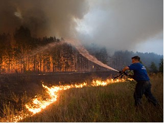 Виды природных пожаров