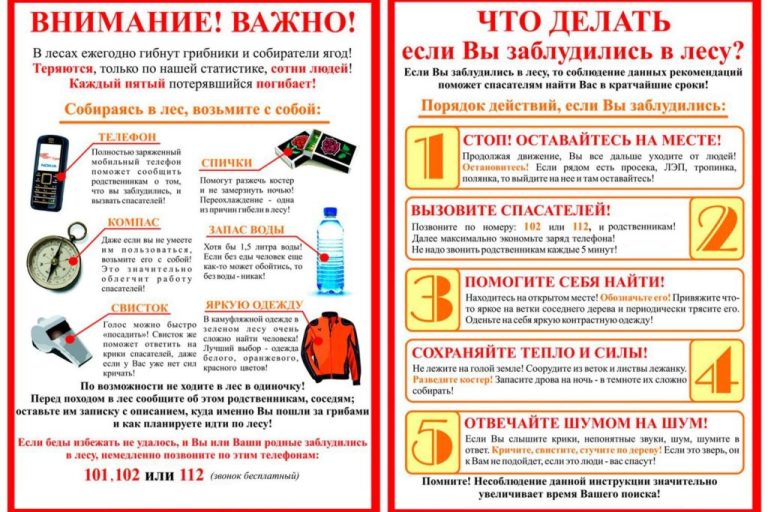 Vnimanie_Vazhno_Chto_delat_esli_vy_zabludilis_v_lesu__2