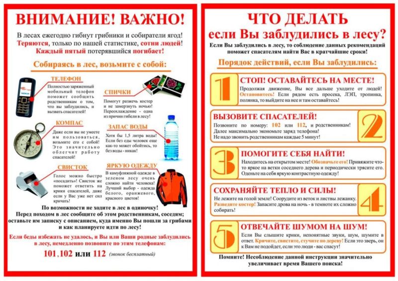 Vnimanie_Vazhno_Chto_delat_esli_vy_zabludilis_v_lesu__2