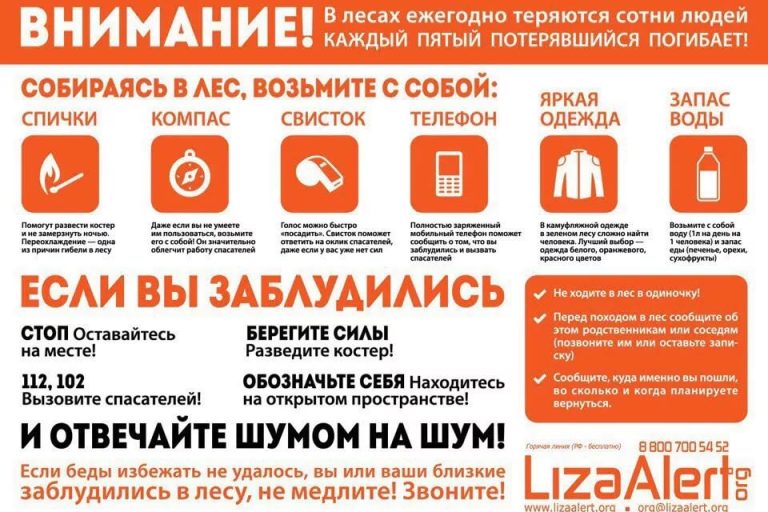 памятка для леса